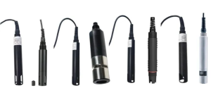 河北省某市推進生態環境建設，讓山更美水更清